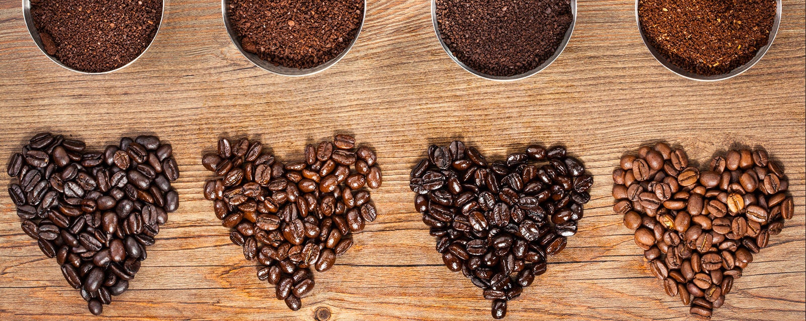 Partner & Collaborate