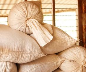 Showing coffee sacks